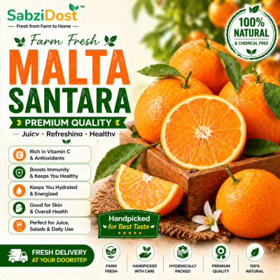Fresh Malta Orange (Premium Malta Santara)