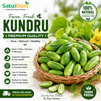 Fresh Kundru (Premium Ivy Gourd / Tindora)